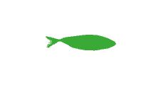 export chinchard surgelé conteneurs toutes destinations monde grossiste distributeur océan pacifique europe