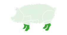 pieds porc surgelés export conteneurs qualité international grossiste distributeur afrique europe