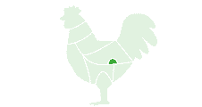 export gésier poulet surgelé conteneurs abats volaille grossiste afrique antilles océan indien jem food