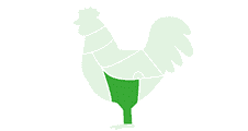 cuisse poulet surgelée export conteneurs volaille distributeur international afrique europe